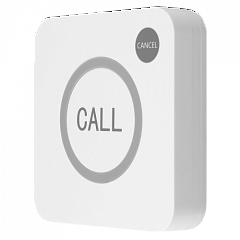 Кнопка вызова iBells 311 сенсорная с функцией отмены в Пензе