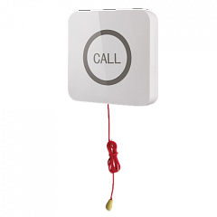 Кнопка вызова iBells 310S влагозащищенная со шнуром для МГН в Пензе